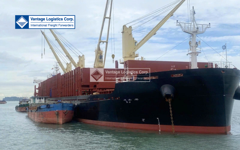 Vlc News Quang Ninh Anchorage 26082026